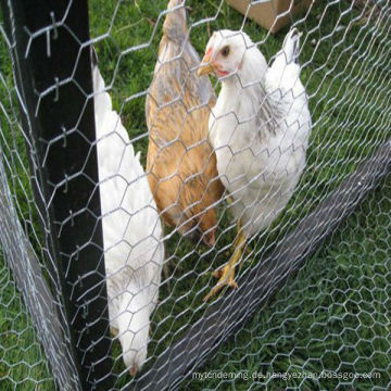 Bestellung Vogelkäfige für Vogel (Manufaktur)